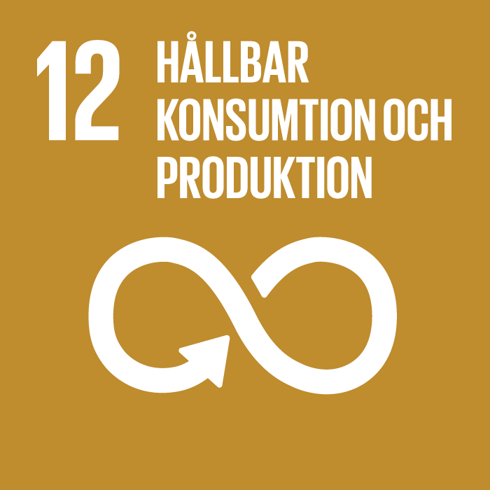 Globalt mål 12: Hållbar konsumtion