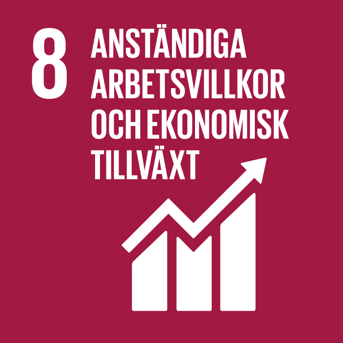 Globalt mål 8: Anständiga arbetsvillkor